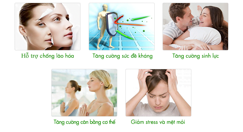 Công Dụng