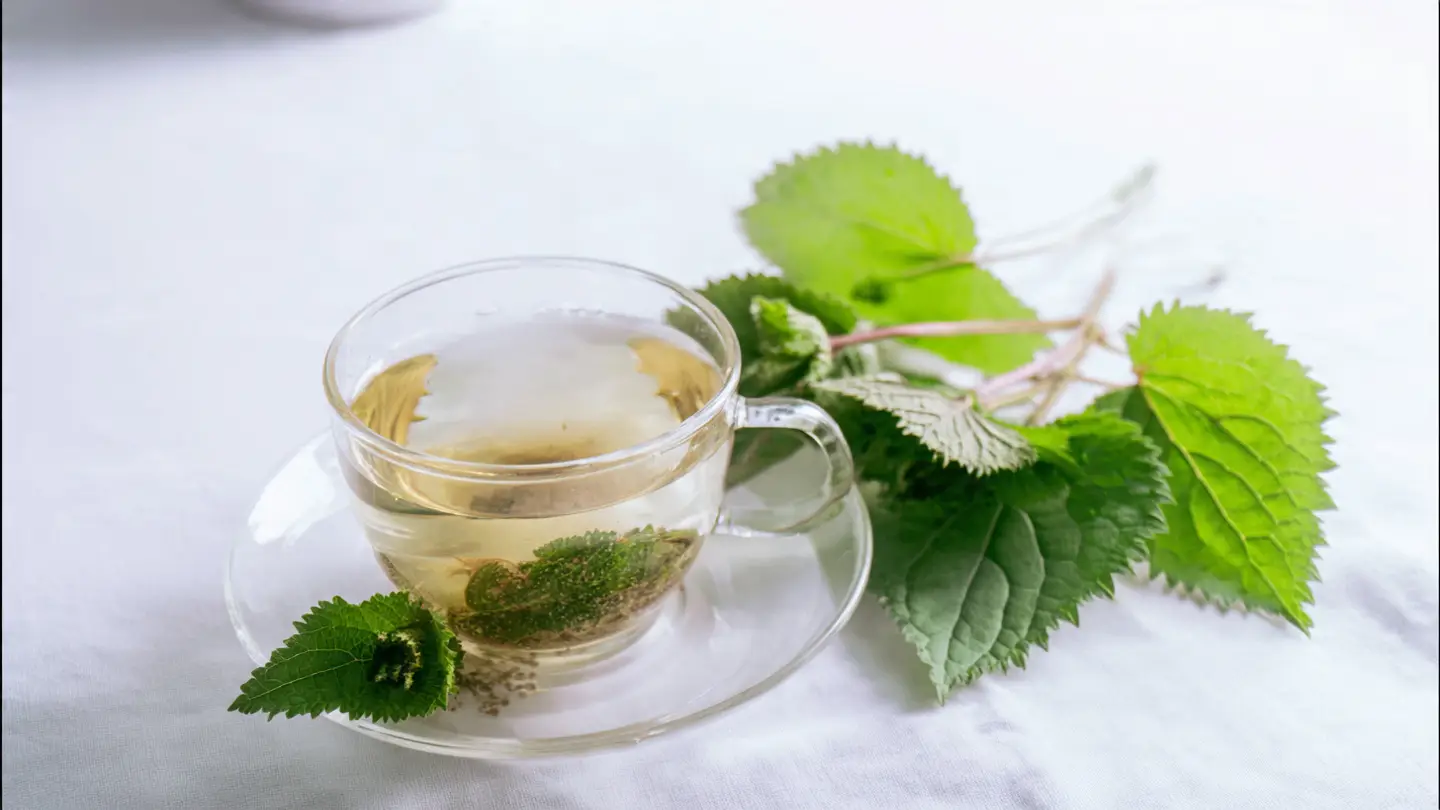 Giảm Sốt Nhanh Bằng Bài Thuốc Dân Gian Từ Tía Tô