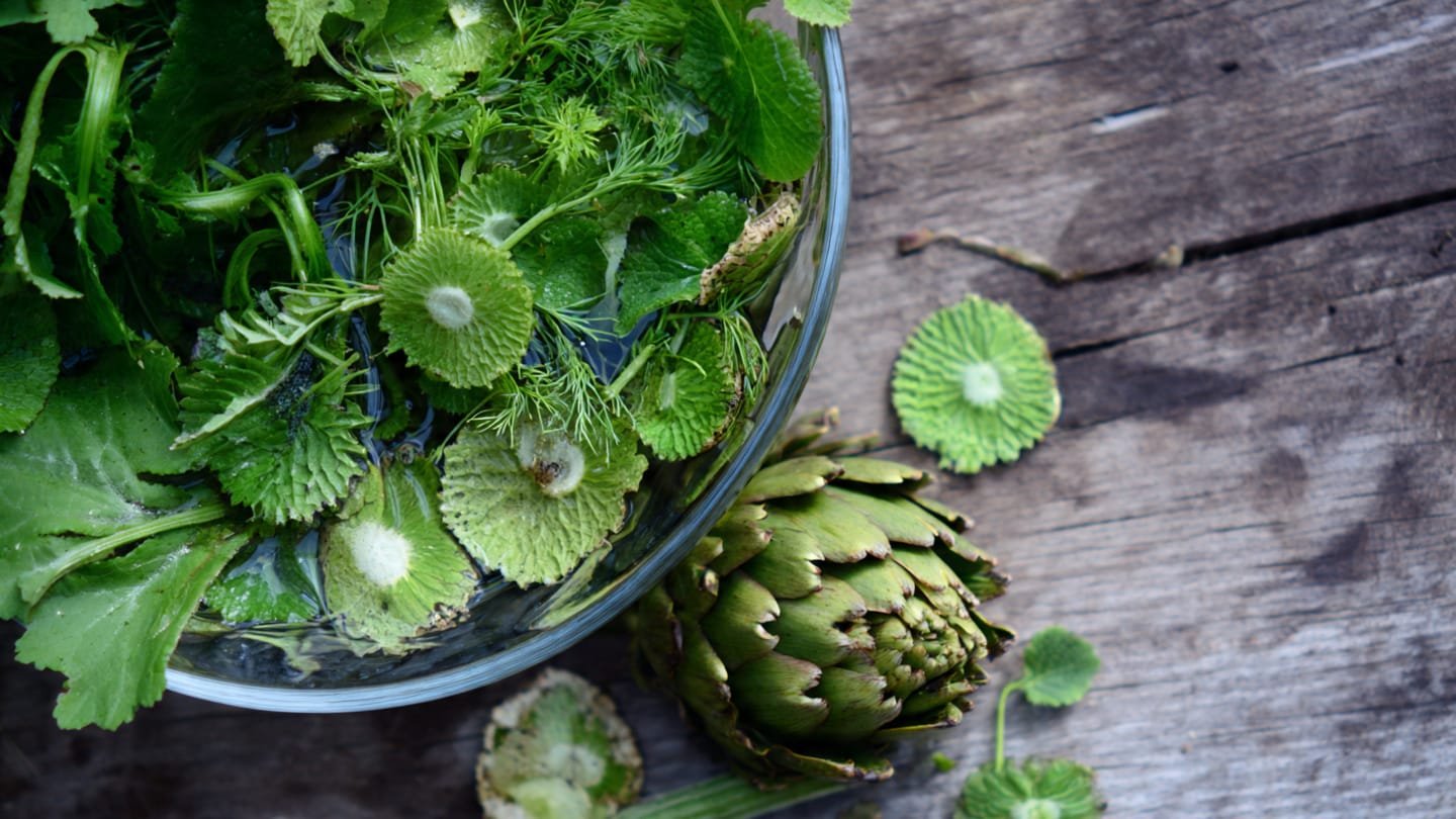 Mẹo Dân Gian Làm Mát Gan Bằng Rau Má Và Atiso – Giải Nhiệt, Thanh Lọc Cơ Thể Hiệu Quả