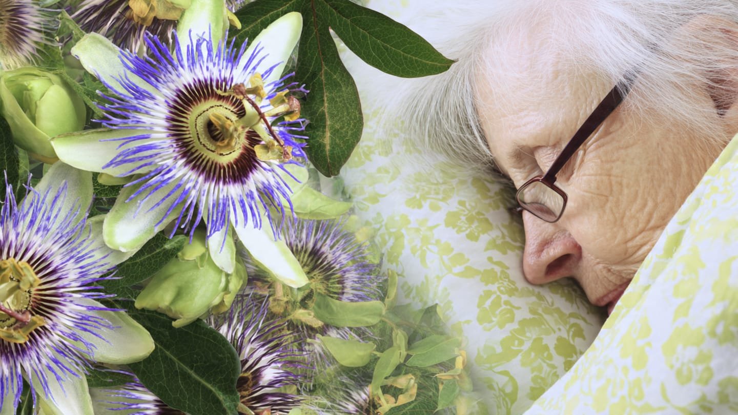 Trị Mất Ngủ Tuổi Già Bằng Lạc Tiên Và Táo Nhân – Giấc Ngủ Sâu Từ Thiên Nhiên