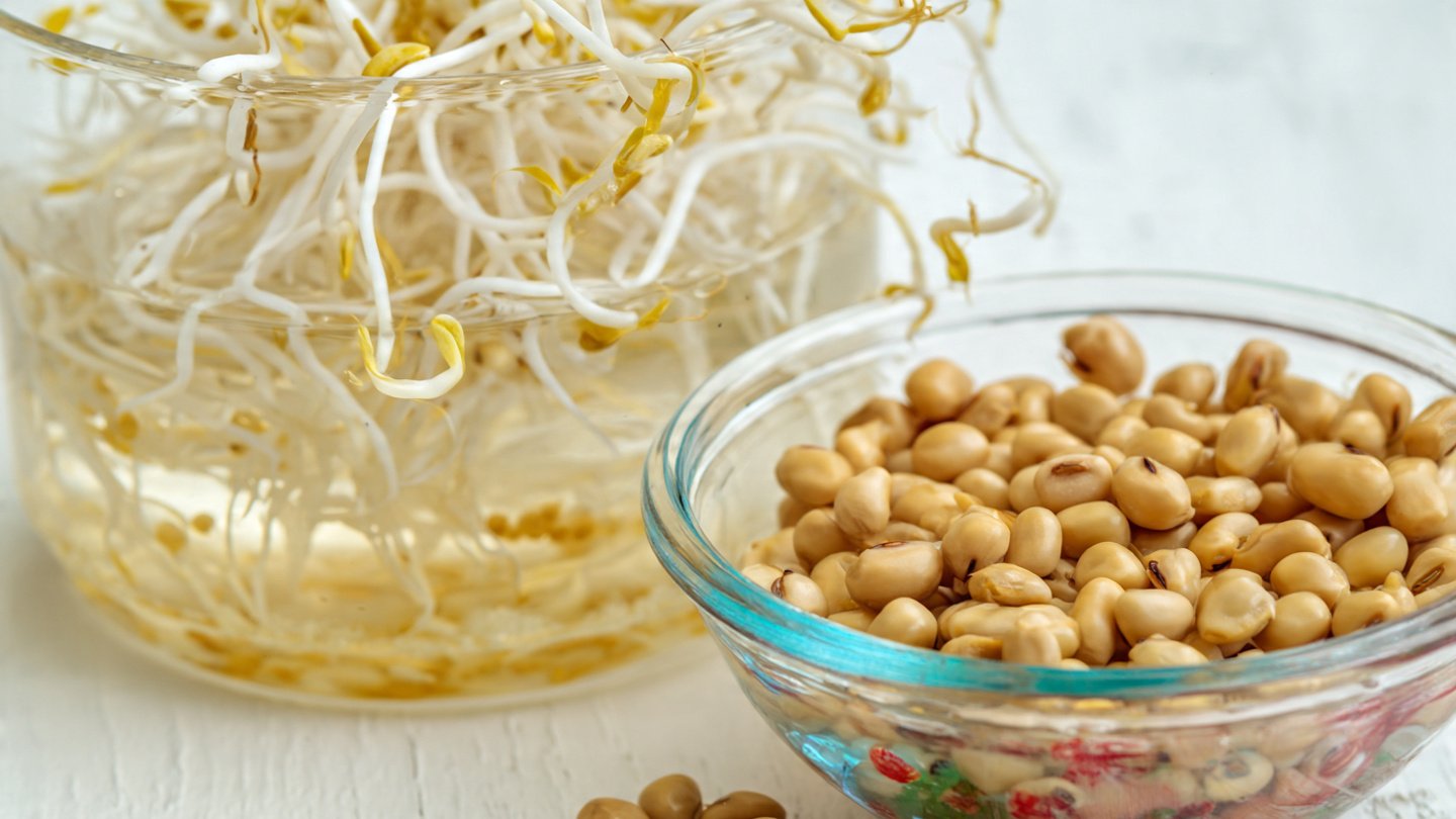 Tăng nội tiết tố nữ bằng mầm đậu nành và nhân sâm